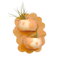 Self-Watering Wall Planter in Tangerine