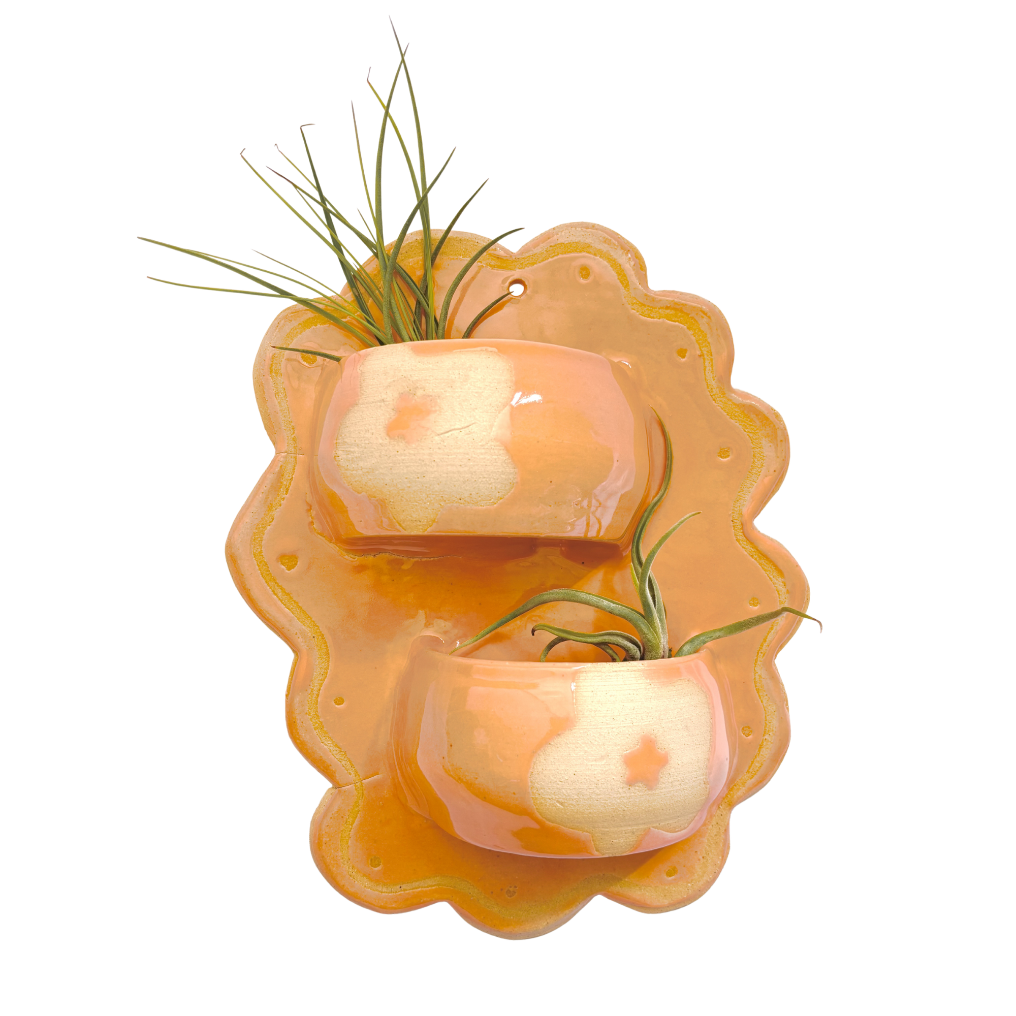 Self-Watering Wall Planter in Tangerine
