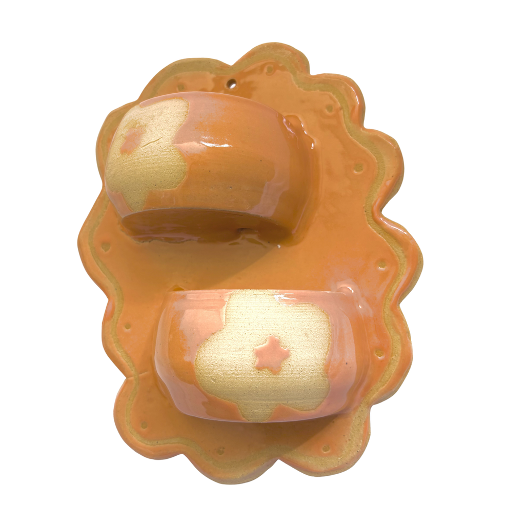 Self-Watering Wall Planter in Tangerine